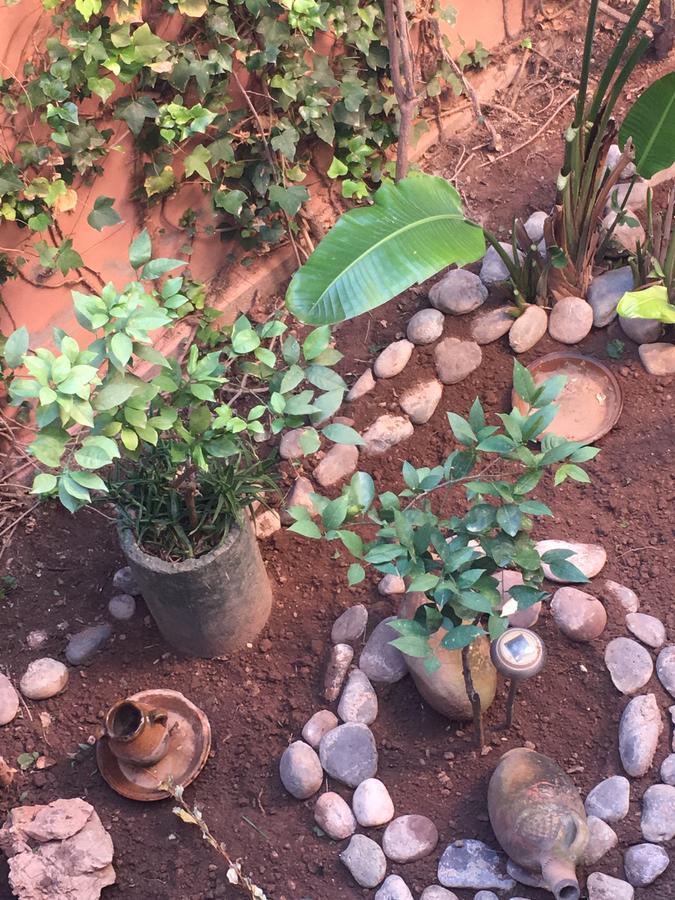 Appartement Andalou Marrakesch Exterior foto